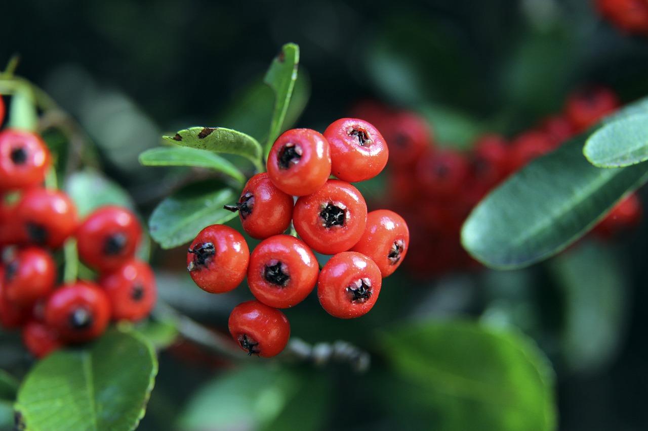 小赢1分也可以，阵容确实克你们，三巨头渐入佳境，湖勇2倍快乐.