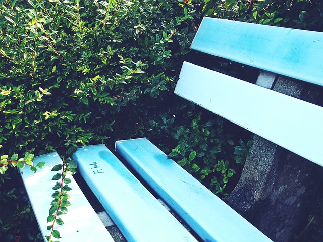 薪资结构的 薪资结构的